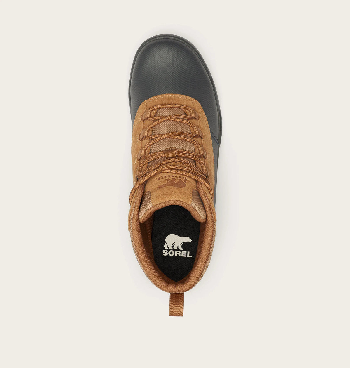 Elk, Black
