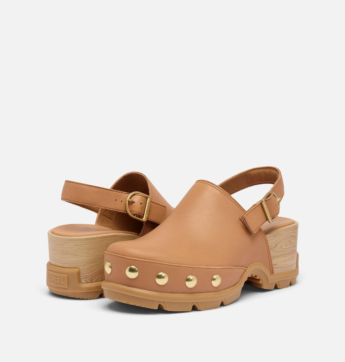 Tawny Buff, Gum 17