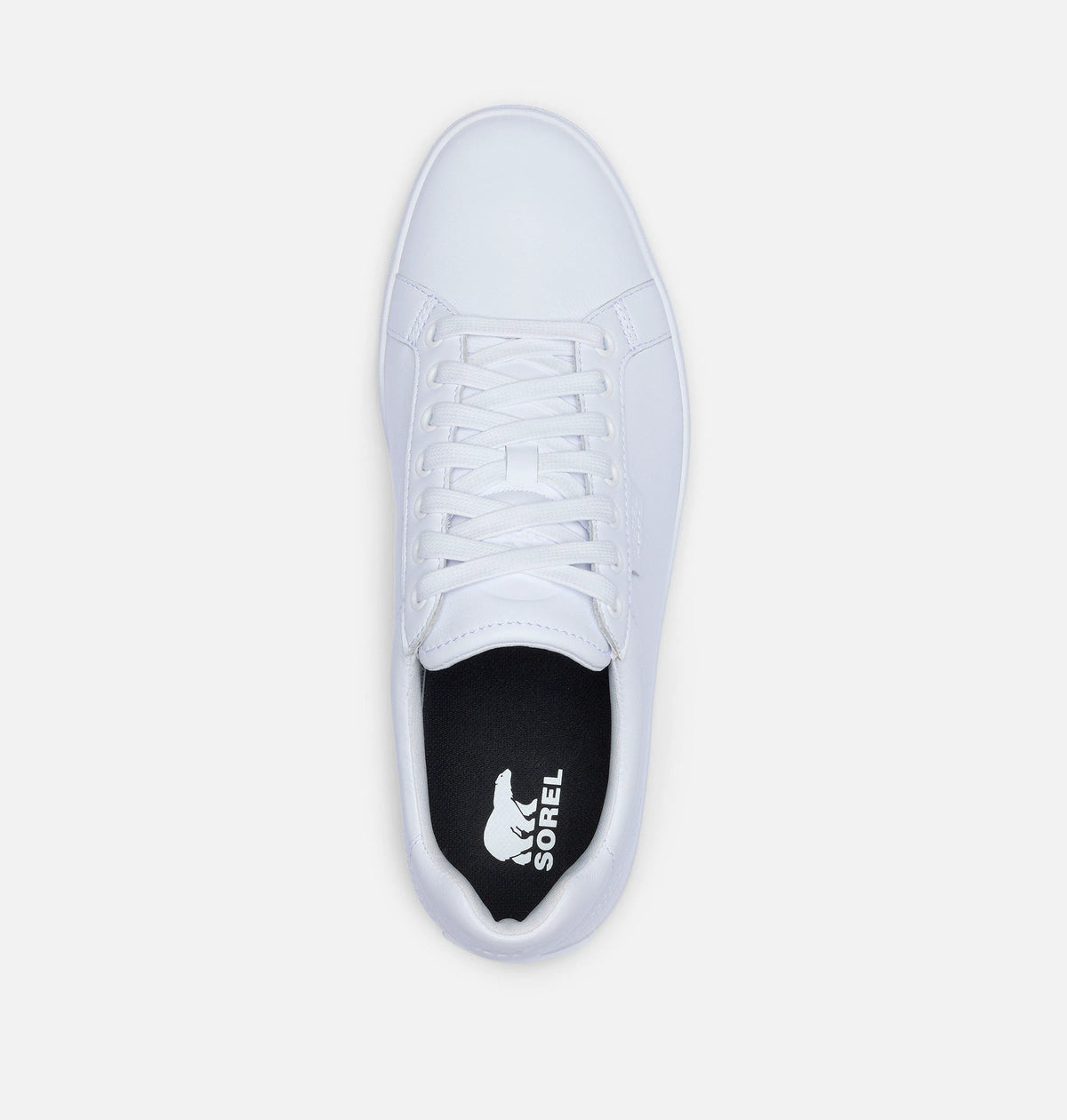 White, White