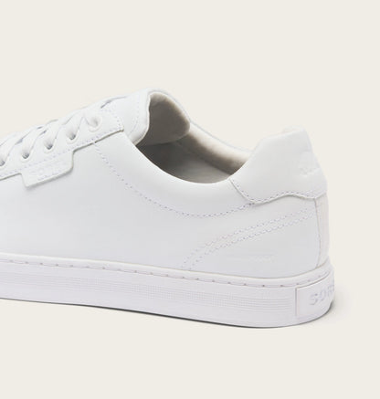 White, White