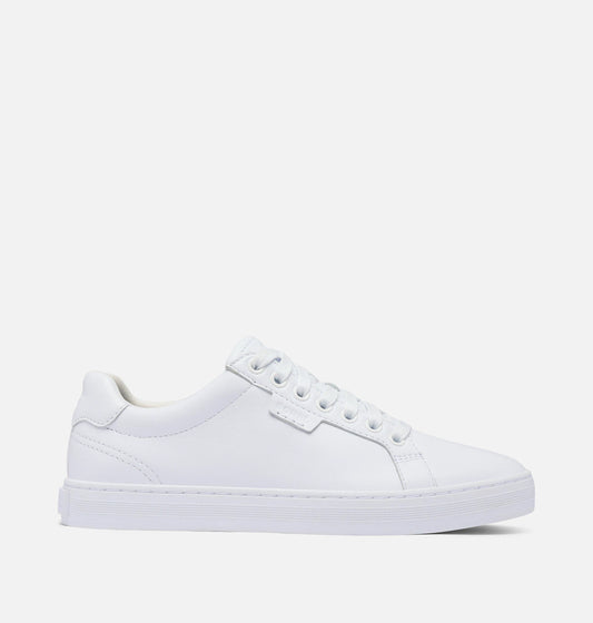 White, White