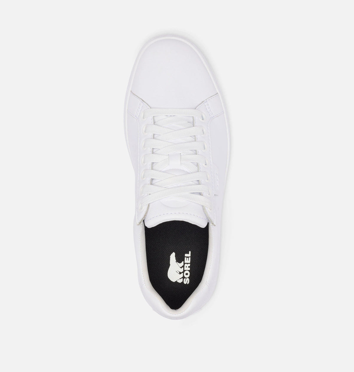 White, White