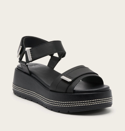 Black, Black