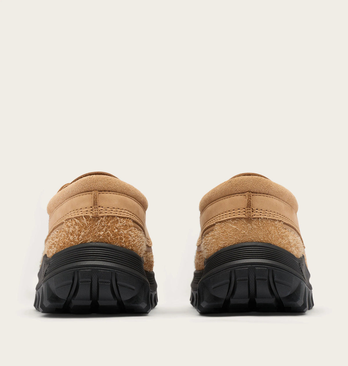 Tawny Buff, Black