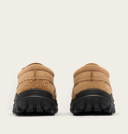 Tawny Buff, Black