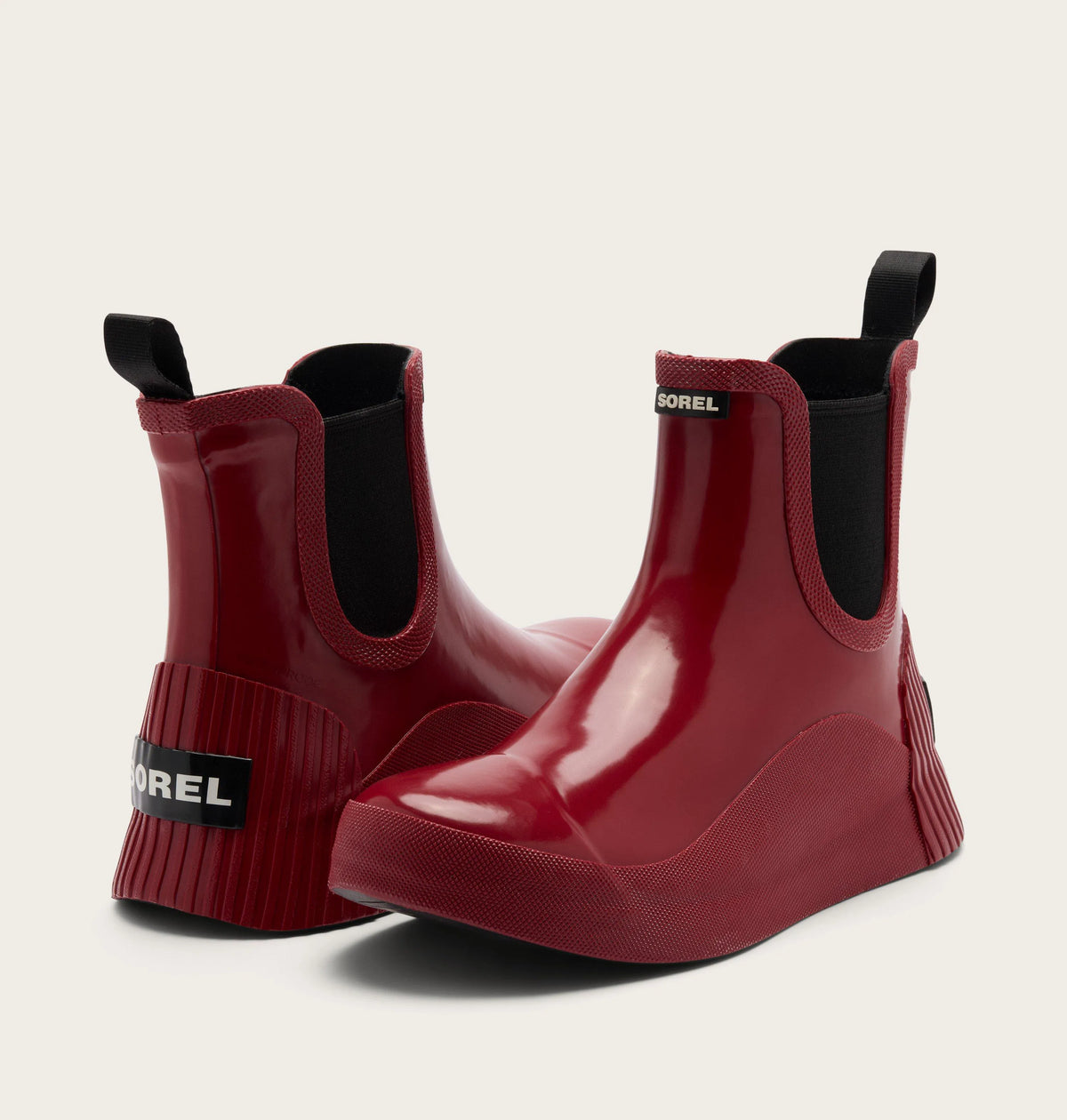 Red Dahlia, Black