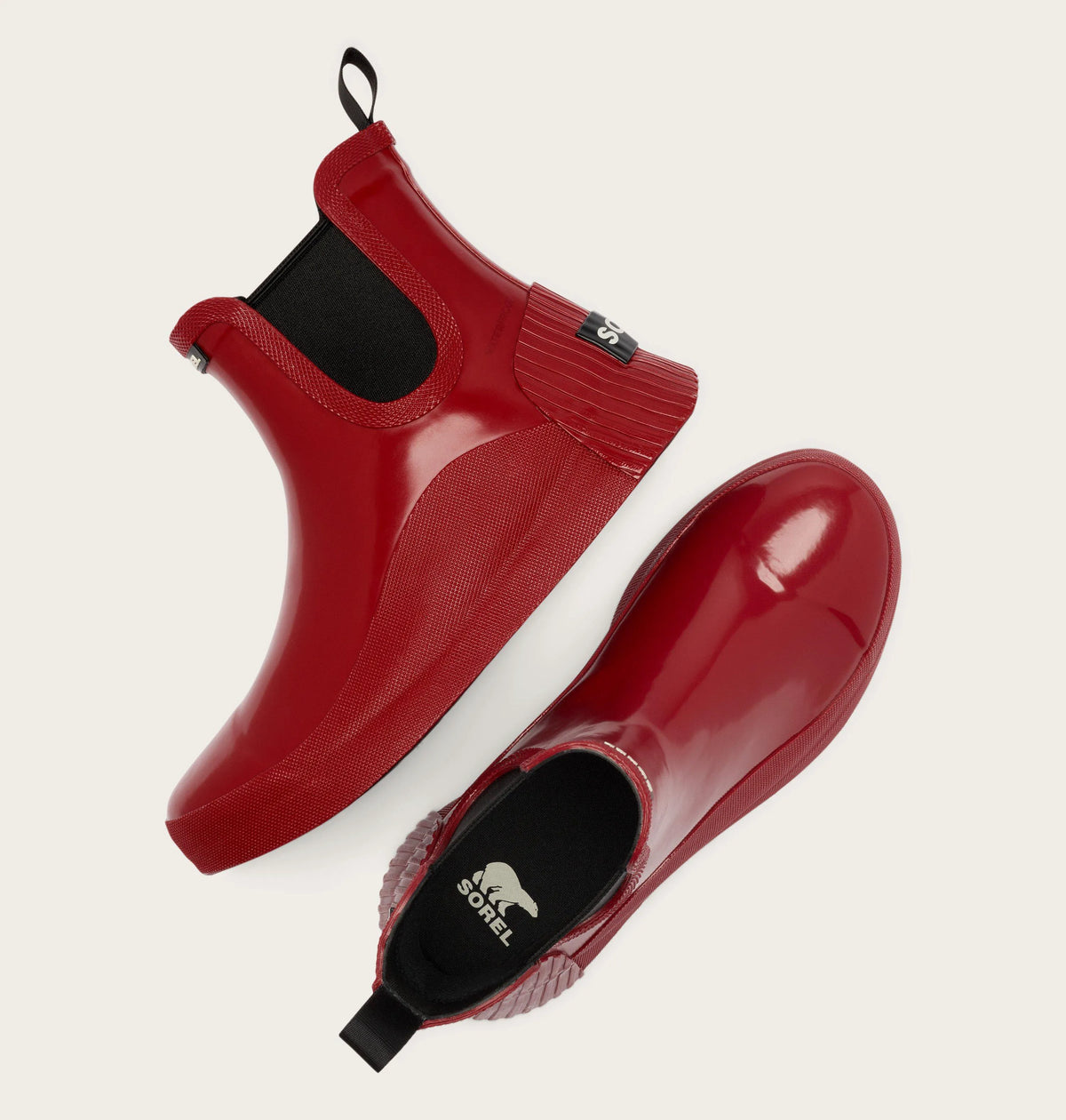 Red Dahlia, Black